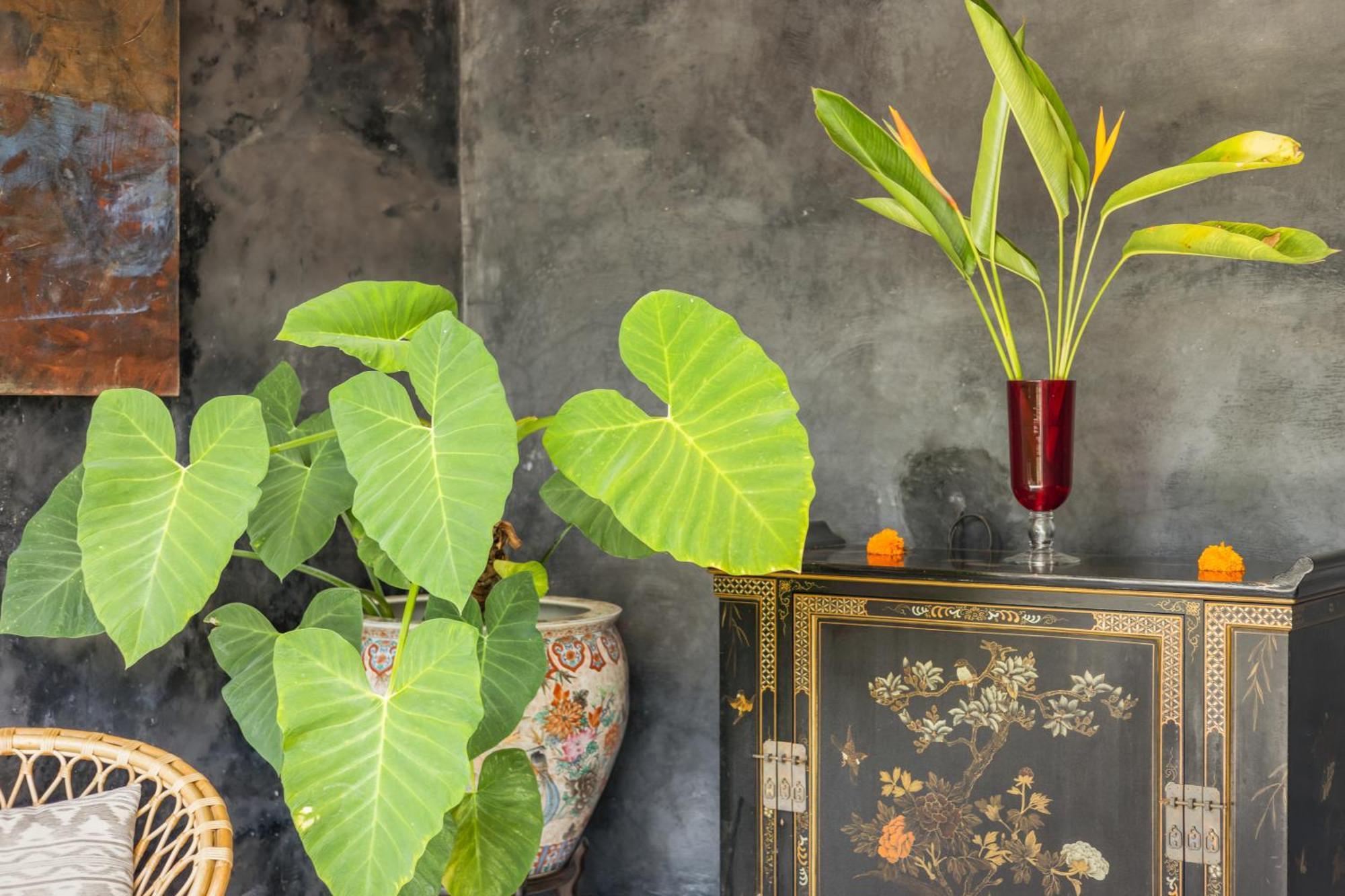 New 4 Bedroom Villa Surrounded By Jungle And Ricefields Ubud Exteriér fotografie