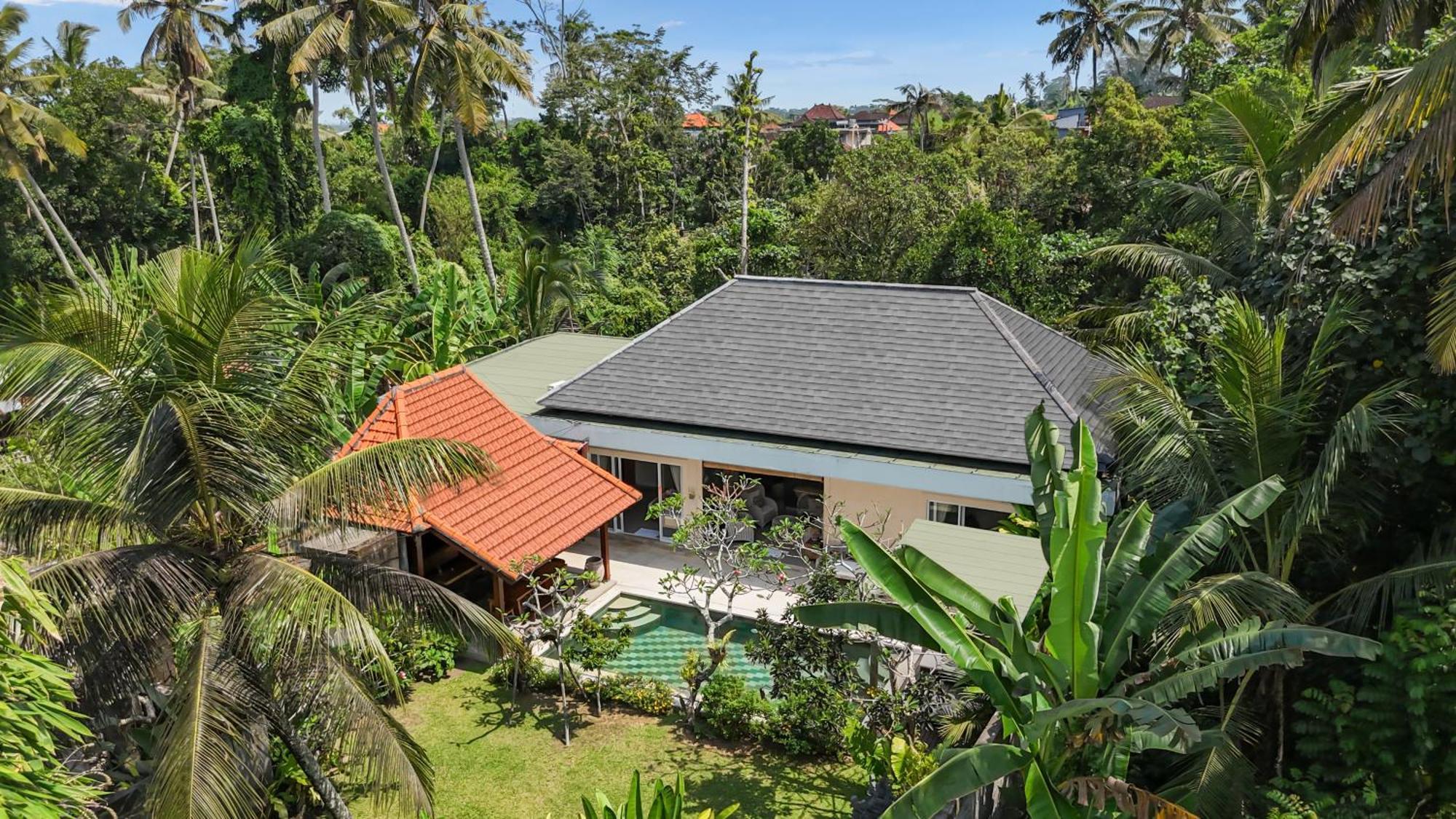 New 4 Bedroom Villa Surrounded By Jungle And Ricefields Ubud Exteriér fotografie